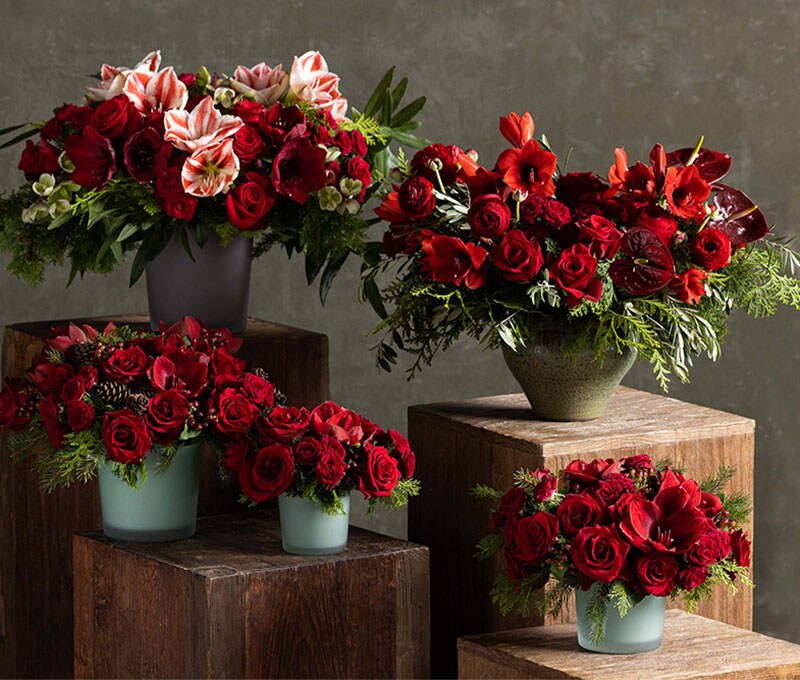 Winston Flowers Lexington Ma Best Flower Site